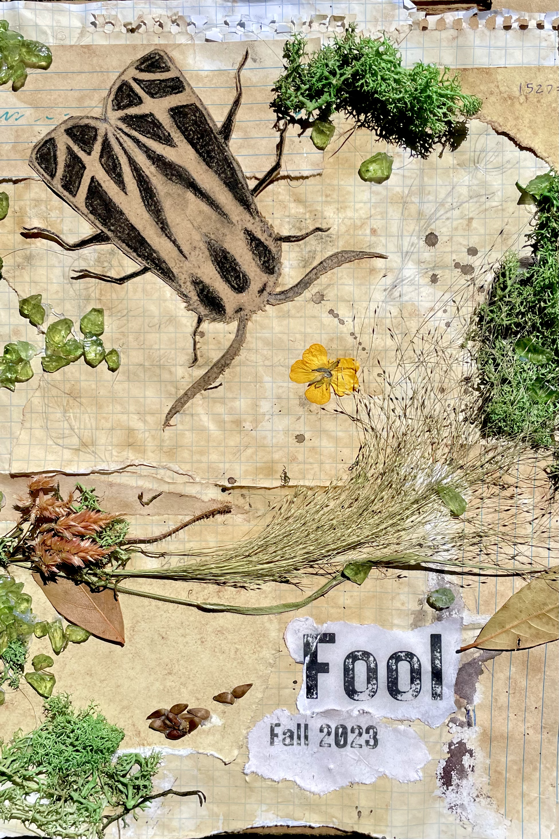 the cover of the third edition of the fool